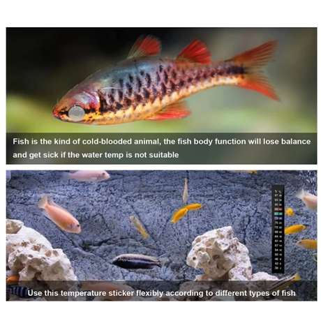 Adesivo autoadesivo per la temperatura dell'acquario per acquario (6).png